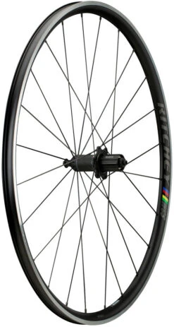 RITCHEY WCS Zeta Laufradsatz -Zubehör Geschaft 251892