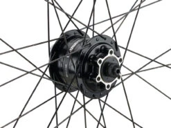 Mountain Alivio Disc 6-Loch DT Swiss 466d 29" Laufradsatz -Zubehör Geschaft 399626