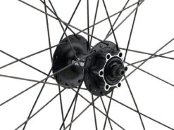 Mountain Alivio Disc 6-Loch DT Swiss 466d 29" Laufradsatz -Zubehör Geschaft 399633